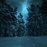 คนที่ ไม่สำคัญ