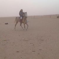 خالد الهذلي