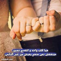Mohmed Abdo