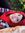 Maram Ghorbeiah | 1 comments