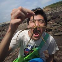 Michael Wang