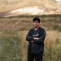Behrad Sepehry