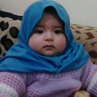 محمود شاذلى