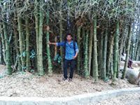Vighnesh Vichu