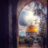 ليث بني نصر