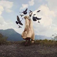 ندى الحميري