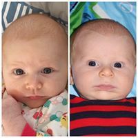 Jaime Claypool Collier