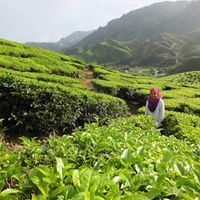 Nabila Shamsuddin