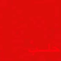 منال ابو الغنم