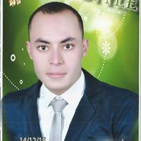 Ahmed Abo Ammar
