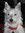 Matt Co...