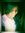 Mohana ...