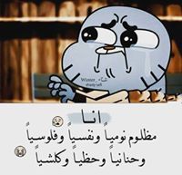 Amer Zayed