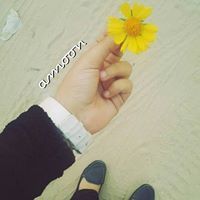 آﻵميرهہ آمون