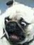 Colby S...