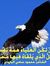 Emam Gamal