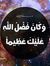 Ahmed S...