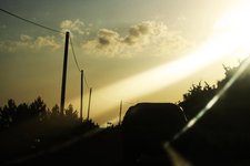 Martinowitsch Coffeeson