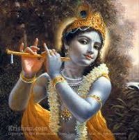 Dhramendra Mehta