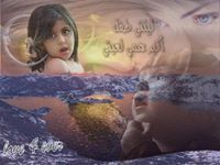 Nader Al-Shibani