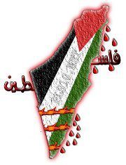 يحياوي مجيد