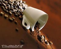 سعدون العنزي