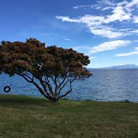 Hannah Sutton-Molnar