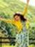 Sowmya ...