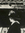 Cindy Chaplin | 2 comments