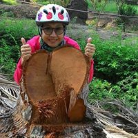 Paramita Limpanilchart