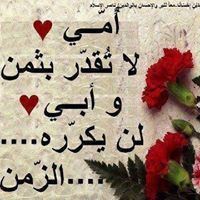 مراقب حسابات