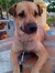 Riza