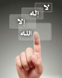 احمد ابورفاعى