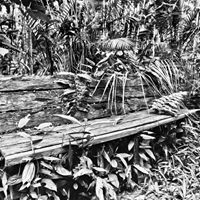 Marjorie Sonnenschein