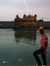 Mayur