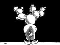 فتحي أبو النصر