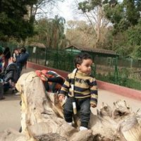 Mohamed Sayed