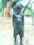 Deepak ...