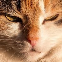 คิดบวก ชีวิตบวก