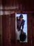 Ankit S...
