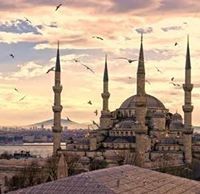 Muhammad Abd ELsatar