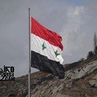 محمود عمران