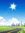 Sky Blue
