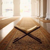 أسماء الدرع