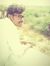 Mallikh...
