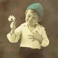 Mahmoud Abd Elhamid