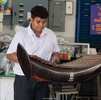 เบียร์ ระนาดเอก