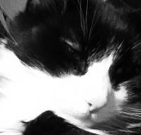 Julia-Forrest Archer