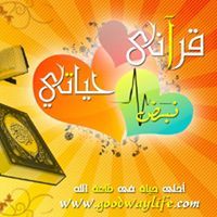 محمود المصرى