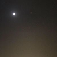 فتحي الفخري